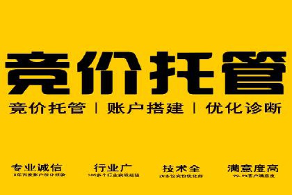 SEM竞价专员如何运用数据分析提高广告转化率